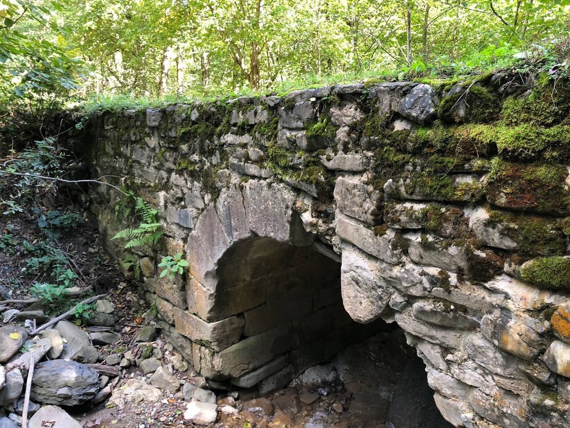 Original Real estate property photo: This image features an exterior element, likely part of a historic stone structure surrounded by lush greenery. The lighting conditions are moderately bright, but the colors appear slightly muted and the shadows cast by the foliage and structure could benefit from enhancement. Adjustments will focus on improving the visibility of details while maintaining a natural look.